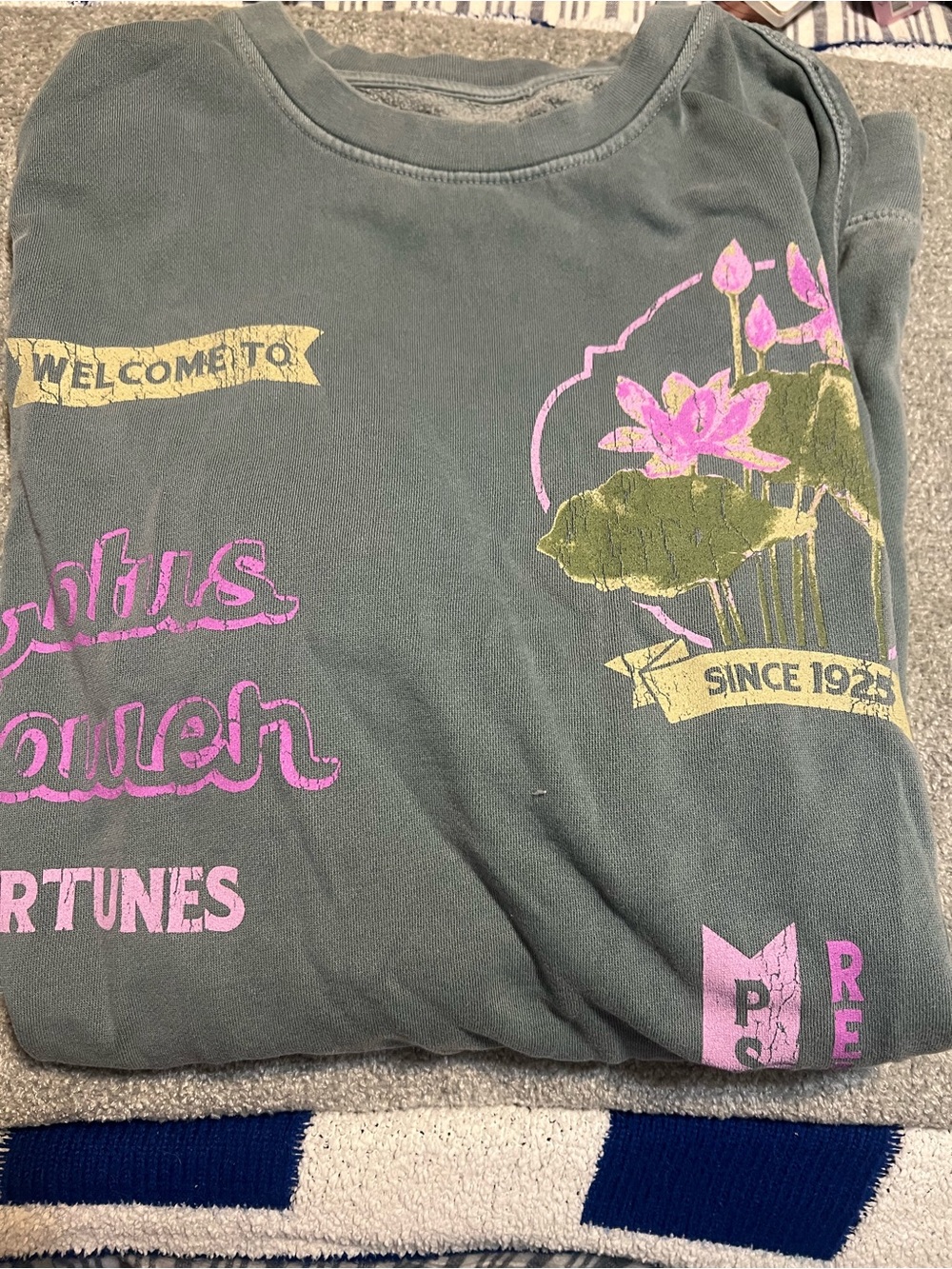 Urban Outfitters Crewneck Sweatshirt